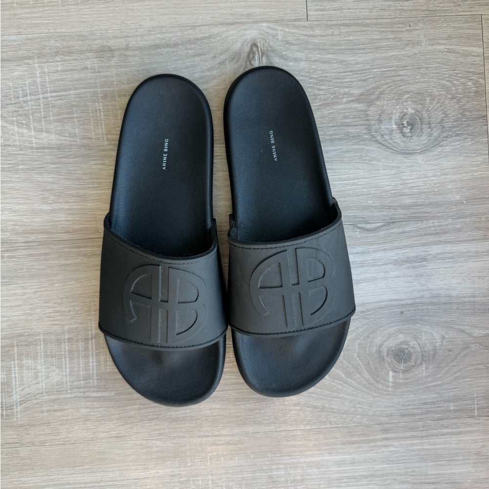 Anine Bing Isla Slide